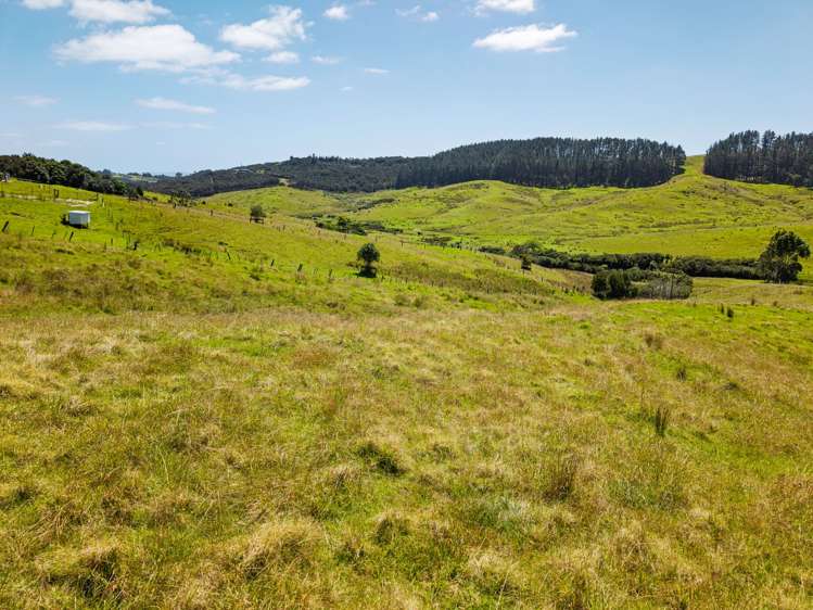 Taipa Heights Drive Taipa_8