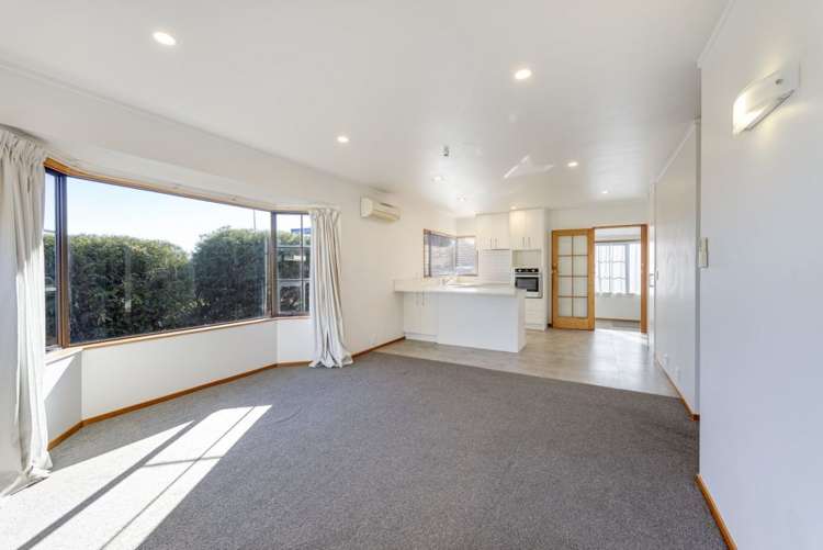 389 Nayland Road_5