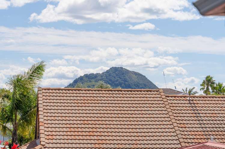 65a Campbell Road Mount Maunganui_7