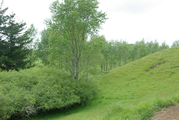 111 Otutira Drive Marotiri_6