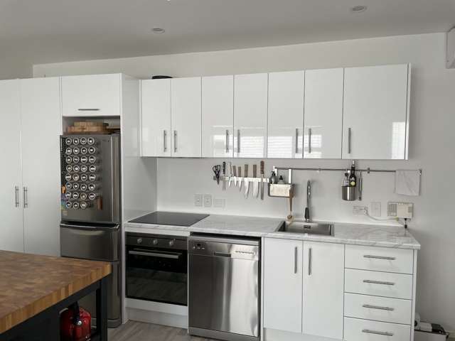 3/15b Scanlan Street Grey Lynn_3