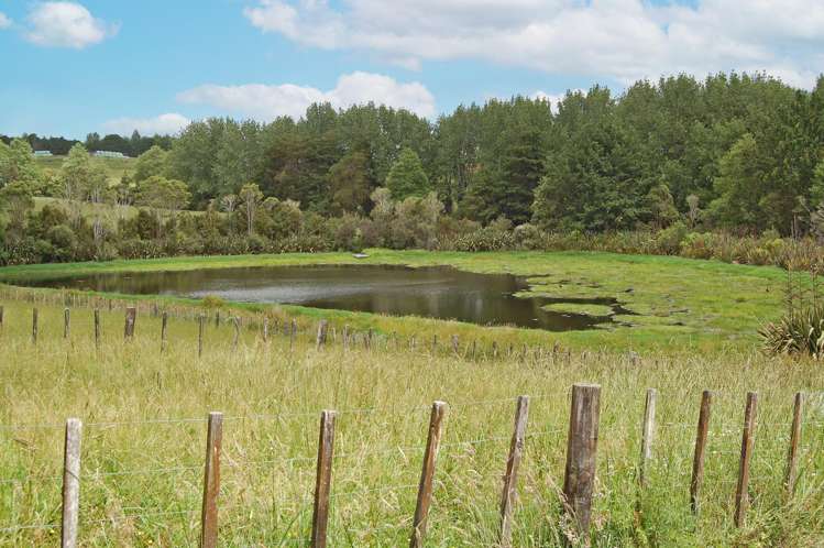 1163 State Highway 1 Topuni_8