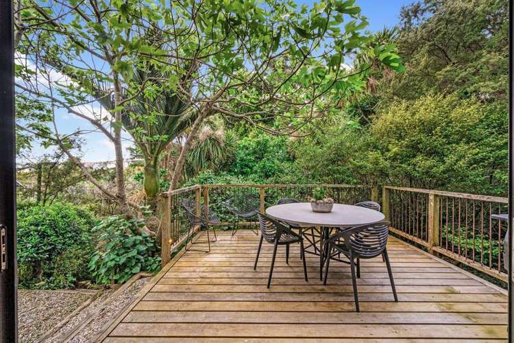 11A Wiles Avenue Remuera_12