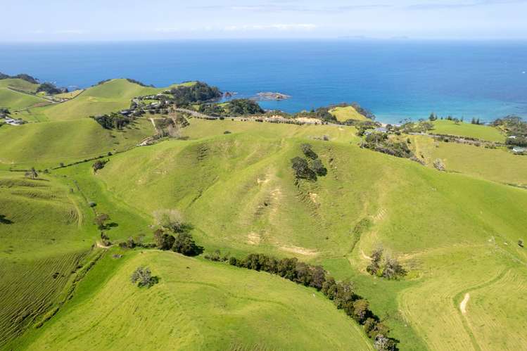 Lot 1 Rockell Road Whananaki_6
