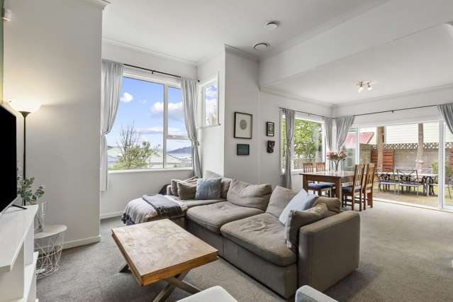 23a Rodrigo Road Kilbirnie_2