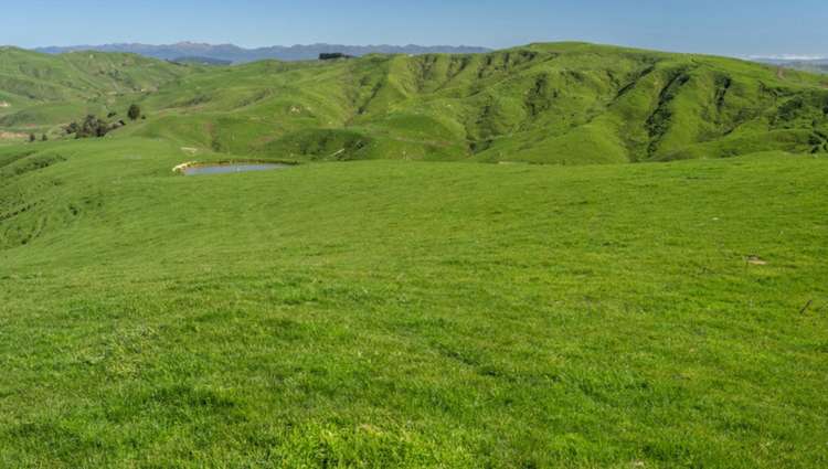 419 Daggs Road Bideford_17