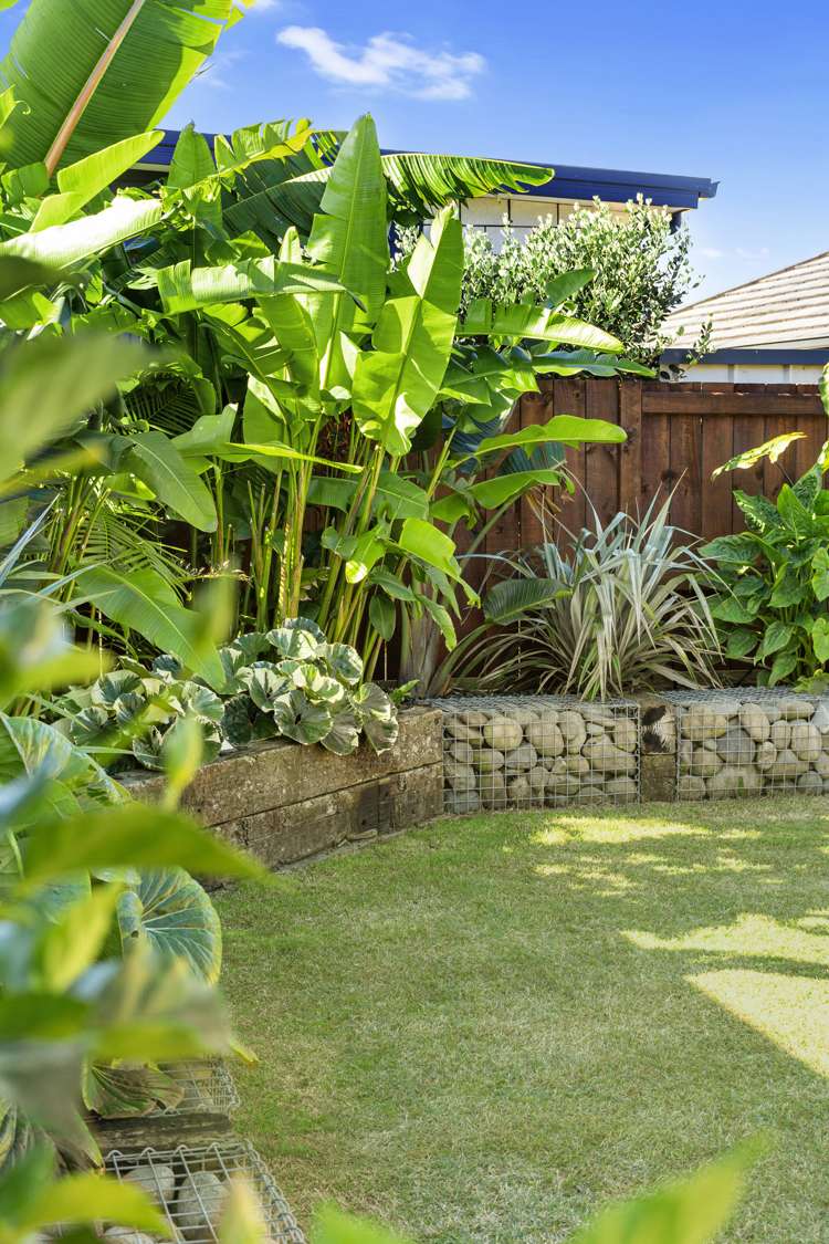 4 Ponga Place Papamoa_4