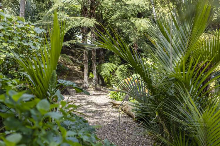 88 Queens Drive Oneroa_29