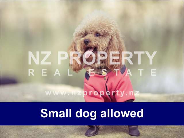 48 Zita Maria Drive Massey_3