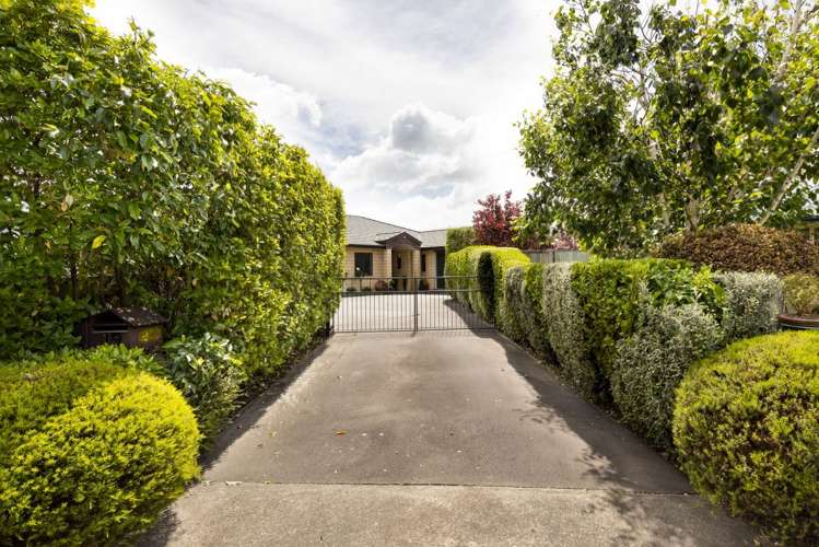 12 Pelorus Place Redwoodtown_2