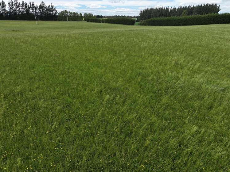 581 Nine Mile Road Riversdale_6