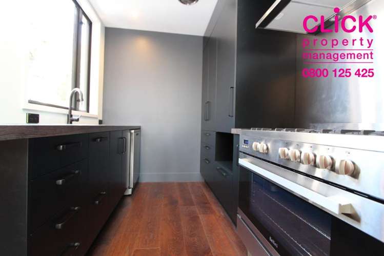 23 Maitland Street 2202_1