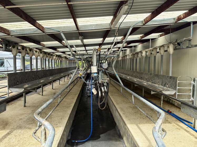 307 Okapua Road Chatton North_12