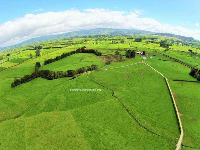 126 Trig Road Waihi_2