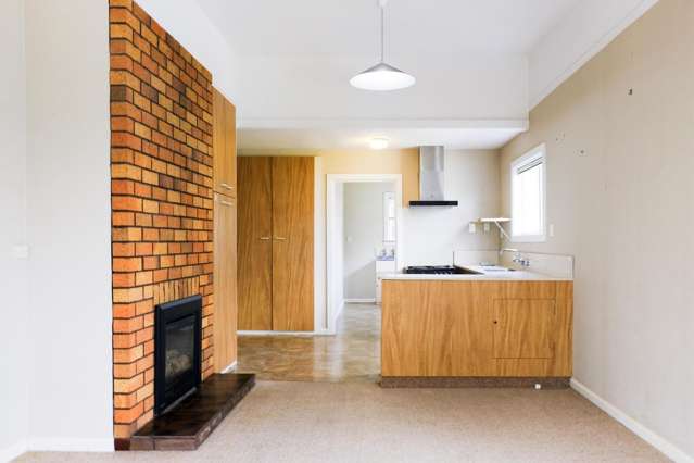 44 Hastings Street West Sydenham_4