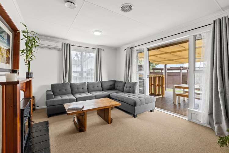 30 Norfolk Street Tamatea_1