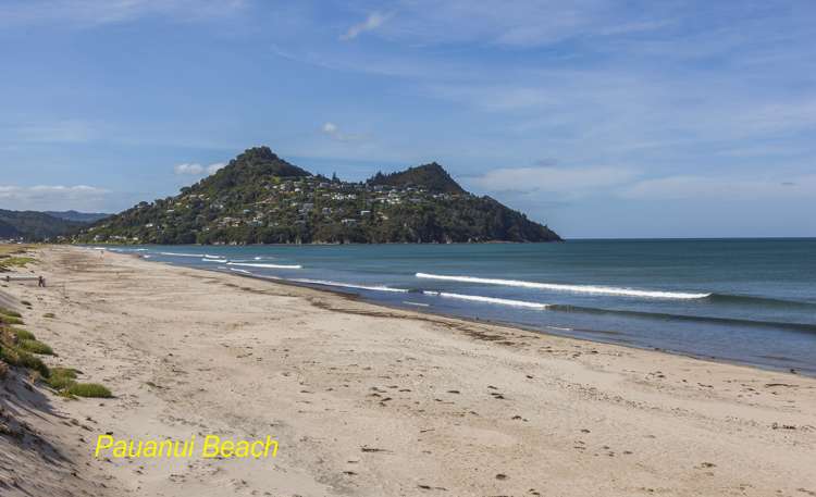 147 Vista Paku Pauanui_27