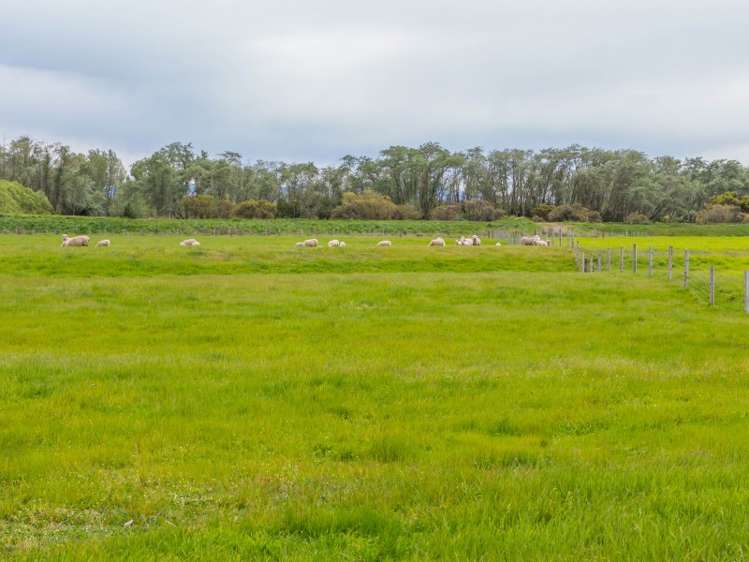 150 Thompsons Road West Melton_14