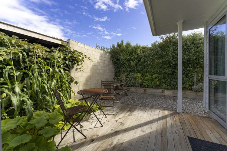 33a Killarney Street Alexandra_16