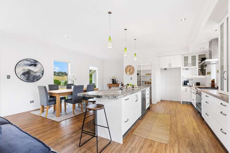 255 Austin Road Dairy Flat_11