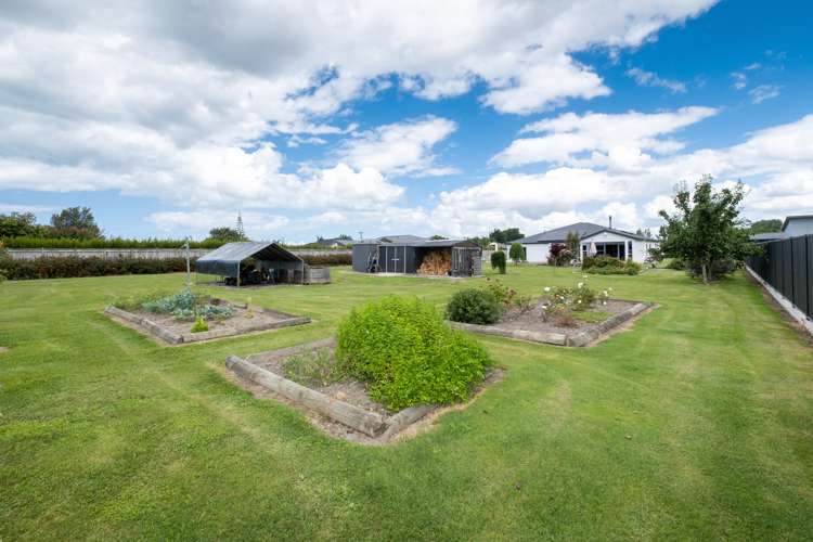 66 Mcelwee Street Jervoistown_19