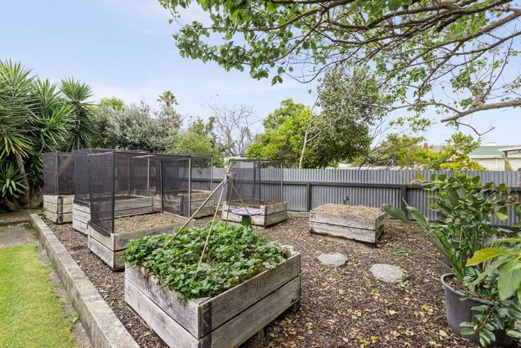 3 Dockery Avenue Onekawa_14