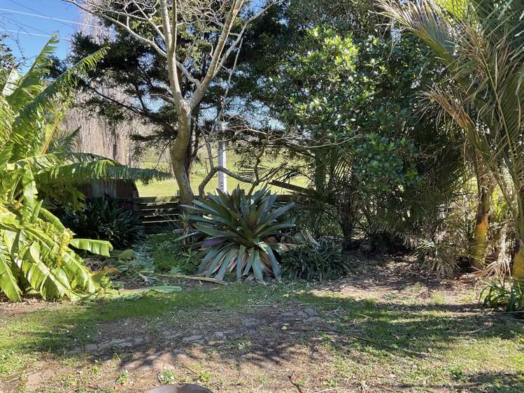 873 Pakiri Road Pakiri_19