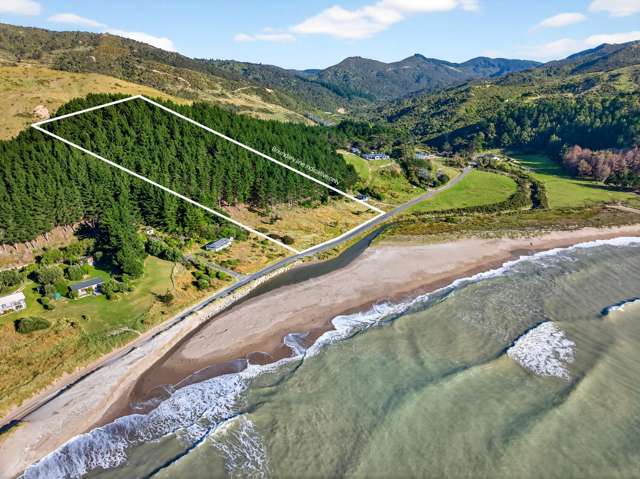 Rare Coastal Canvas in Mataikona