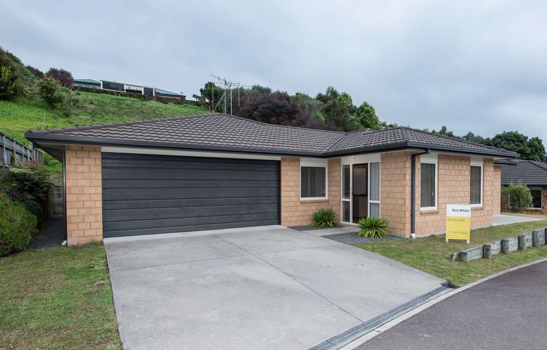 124 Hollister Lane Ohauiti_0