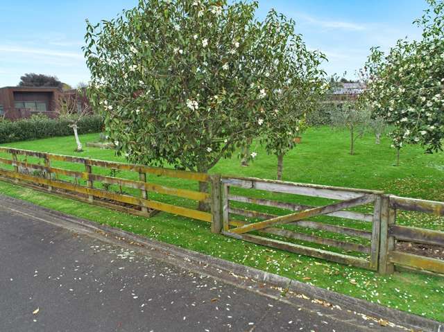 2 Ballymena Lane Matamata_1