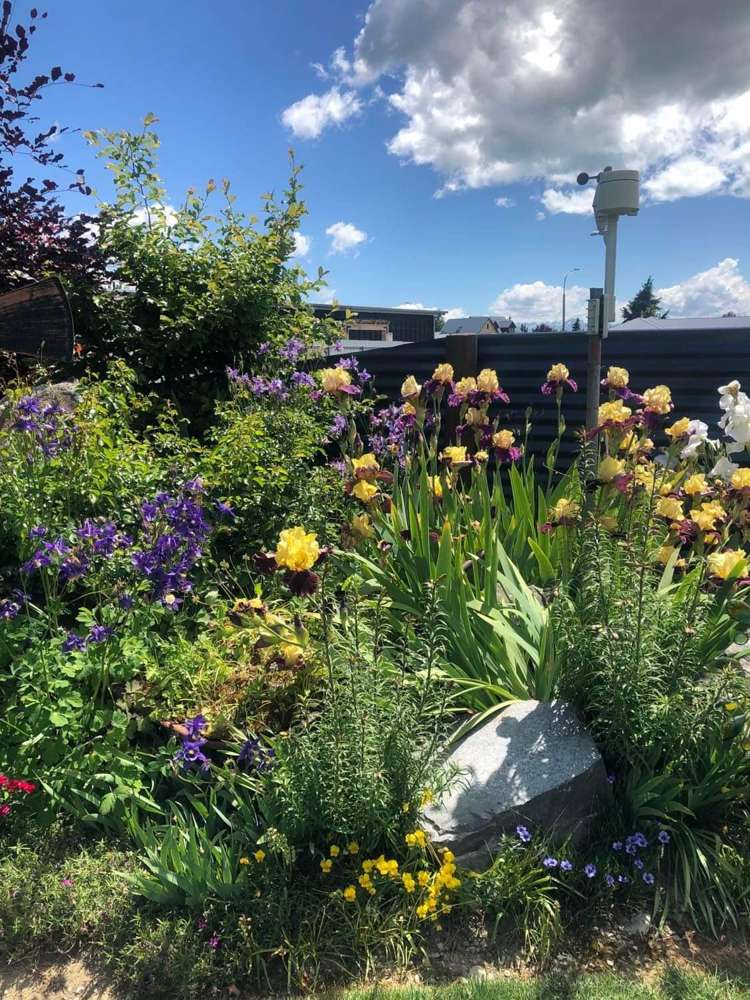 8 Rhoboro Road Twizel_23