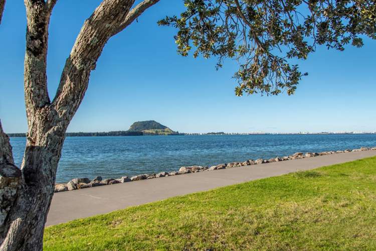 54 Strathmore Street Matua_19