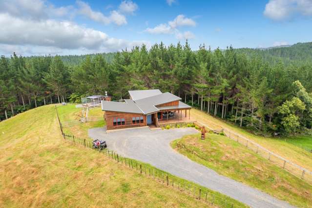 88 Scott Rd Te Awamutu_3