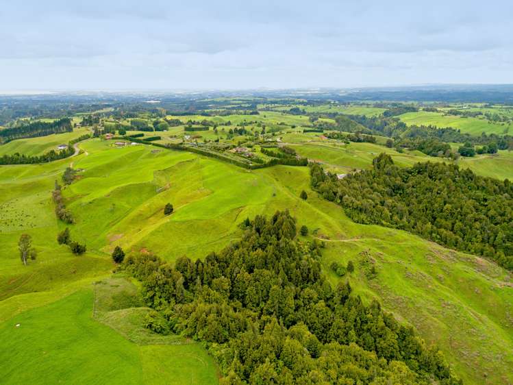 8 Shaw Road Te Ranga_22