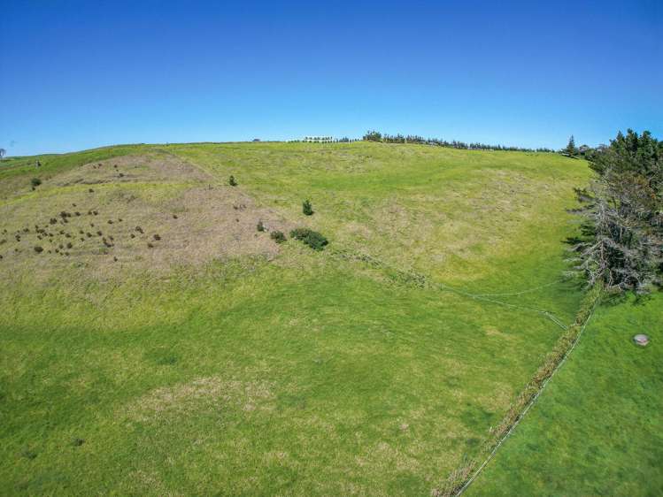 42 Redhill Cemetery Road Te Kopuru_6