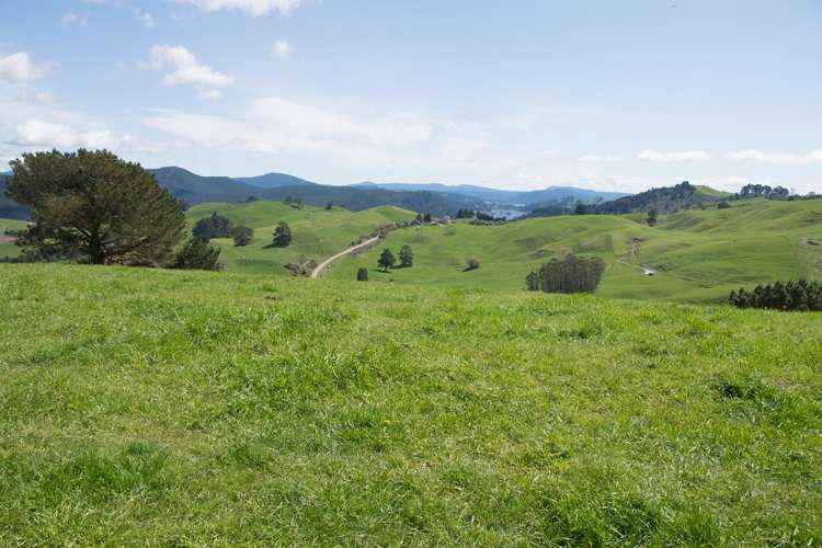 44 Coates Road Waikite Valley_10