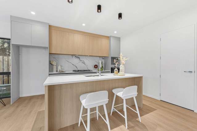 Lot 3 /3 Raupapa Street Northcote_3