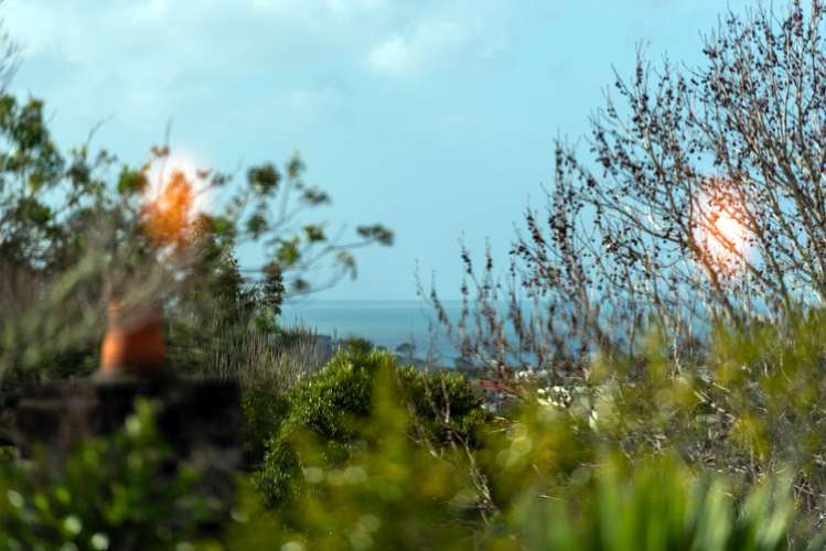 127 Oaktree Avenue Browns Bay_7