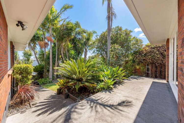 17 Downsview Road Pakuranga Heights_5