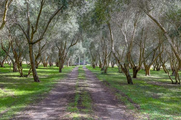 408 Kaiwhaiki Road Kaiwhaiki_25