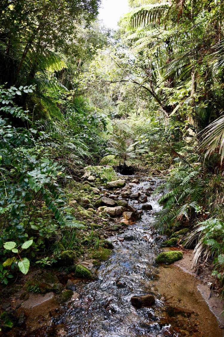 904 Karamea Kohaihai Road Karamea_29