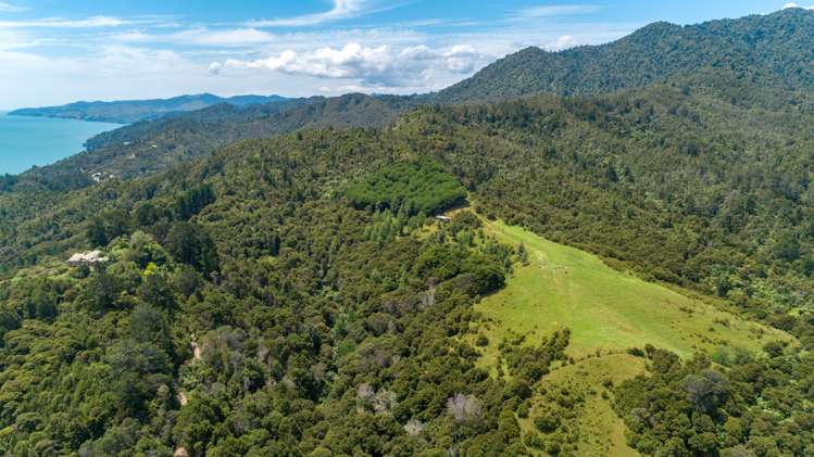 13 Pohue Creek Road Thames_22