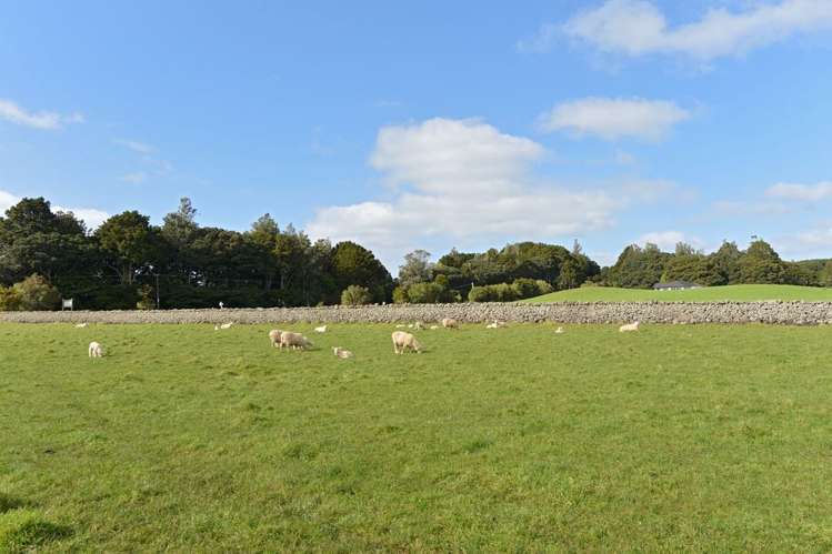 510 Three Mile Bush Road Kamo_36