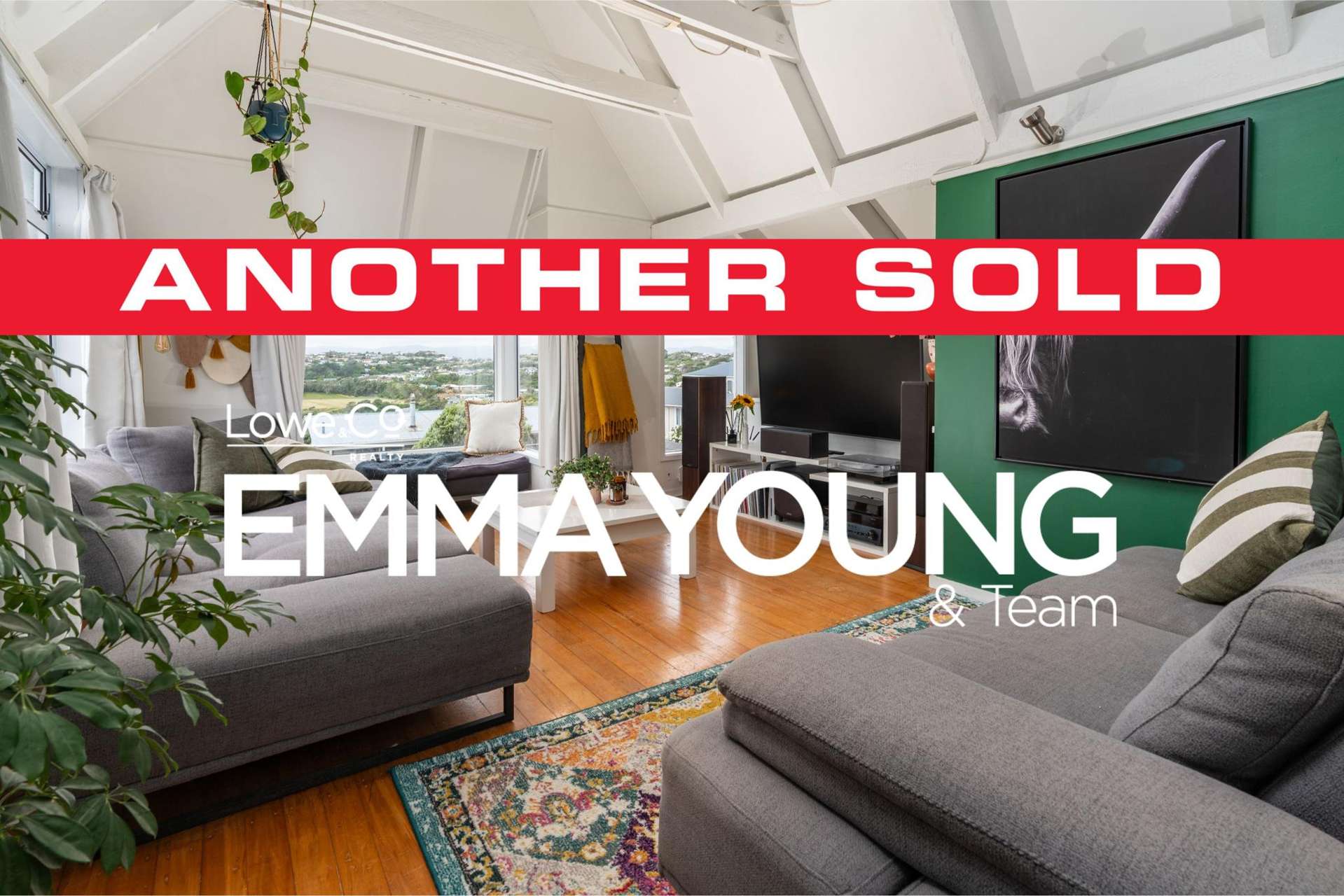 17 Fitzpatrick Street Newlands_0