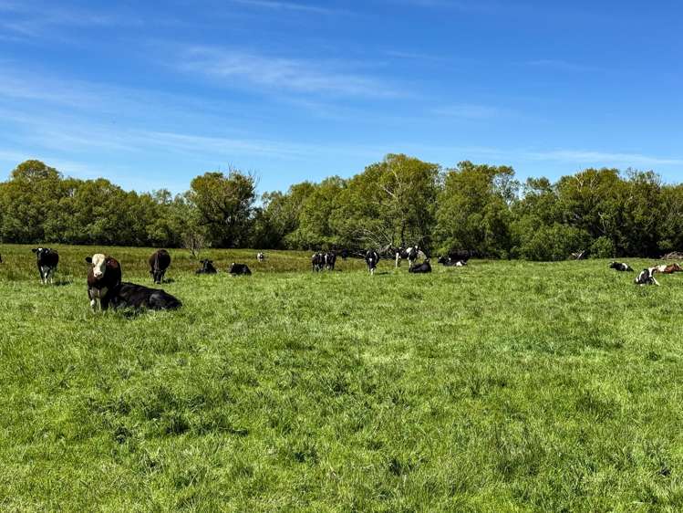 840 Ardlussa Cattleflat Road Cattle Flat_19