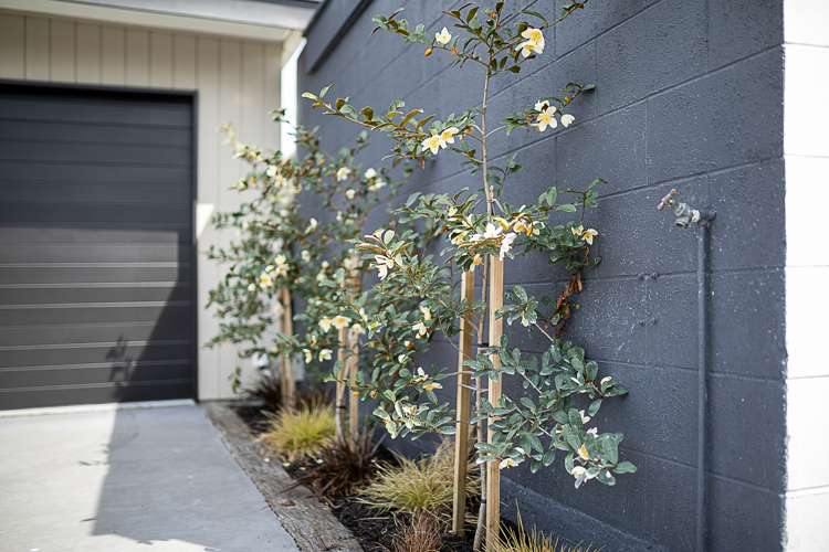 111a Maxwell Road Blenheim Central_25