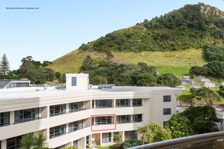 225/3 Maunganui Road Mt Maunganui_2