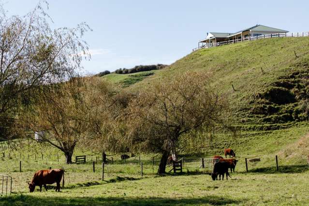 113C Downard Road Awakeri_1