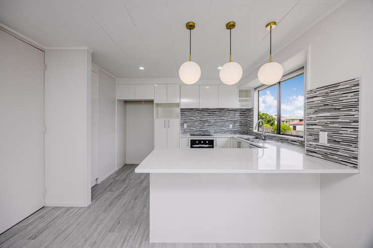 176 Finlayson Avenue Clendon Park_6