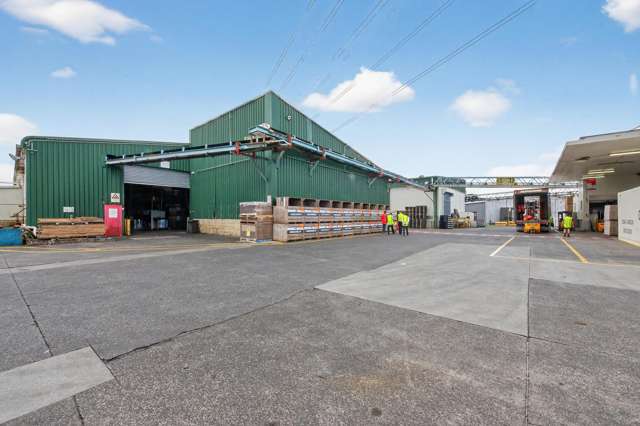 100 Kerwyn Avenue East Tamaki_4